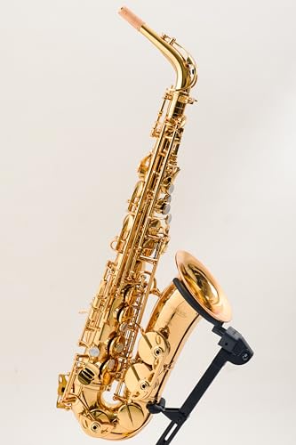 Amazon.co.jp: 【Amazon.co.jp限定】スタリバー（STARIVER